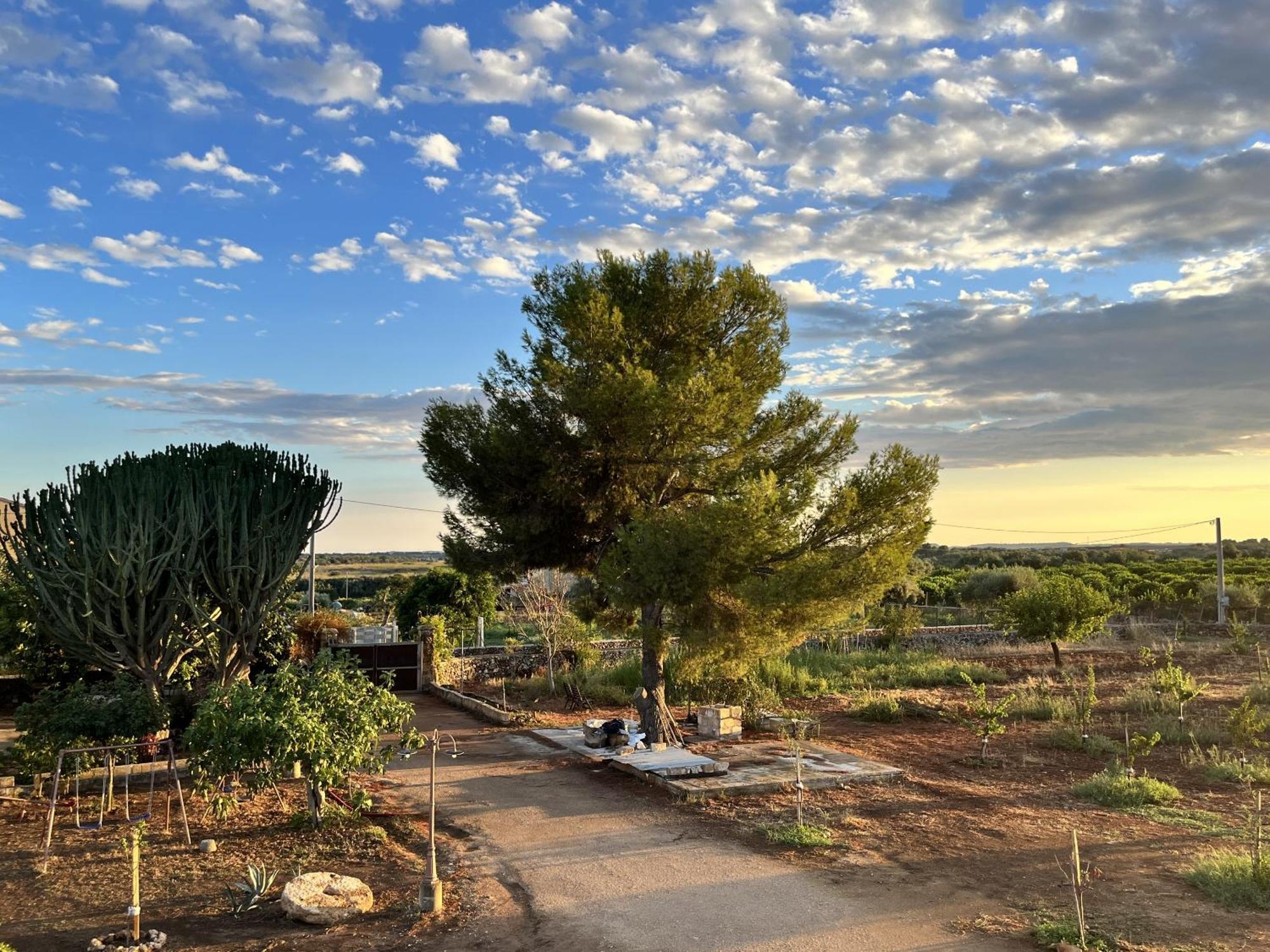 Casapiuholidaysicilia-Adults Only Noto Ngoại thất bức ảnh